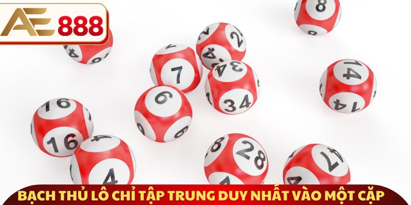Bạch thủ lô chỉ tập trung duy nhất vào một cặp 