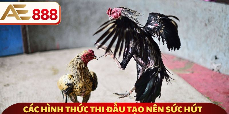 Các hình thức thi đấu tạo nên sức hút đặc trưng