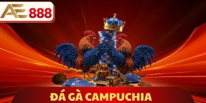 Đá Gà Campuchia