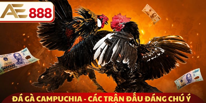 Đá gà Campuchia - Các trận đấu đáng chú ý