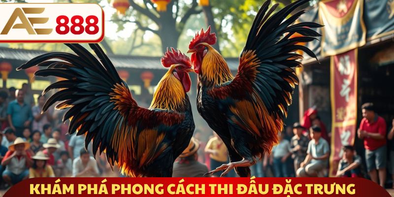 Khám phá phong cách thi đấu đặc trưng tại Thái Lan