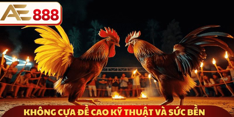 Không cựa đề cao kỹ thuật và sức bền 