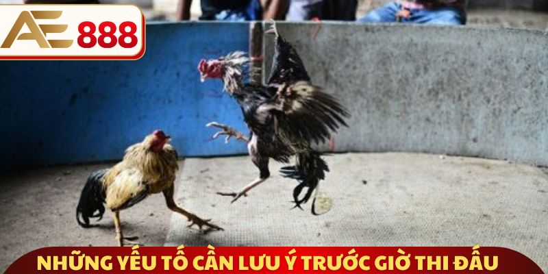 Những yếu tố cần lưu ý trước giờ thi đấu