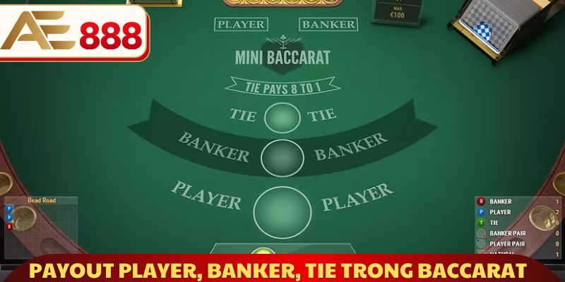 Payout Player, Banker, Tie trong Baccarat