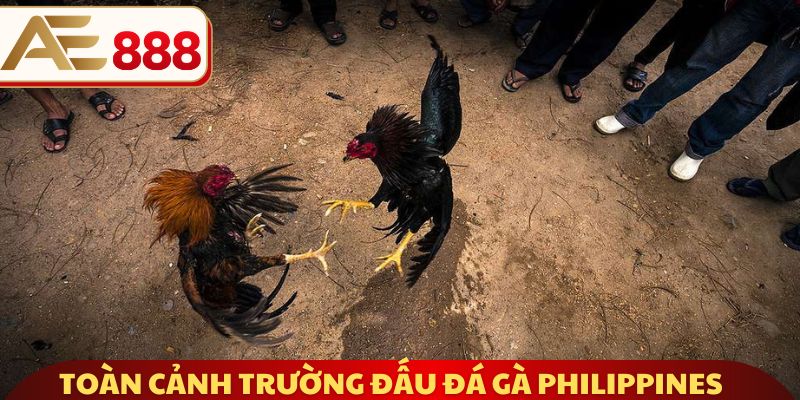 Toàn cảnh trường đấu đá gà nổi tiếng Philippines