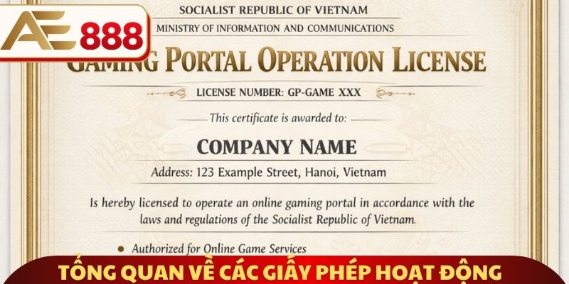 Tổng quan về giấy phép hoạt động