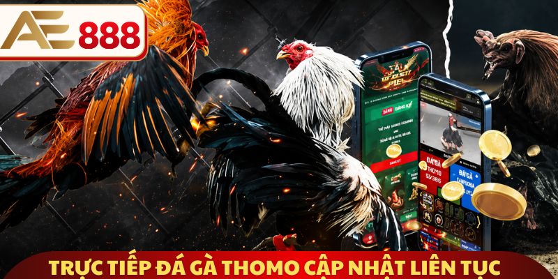 Trực tiếp đá gà Thomo cập nhật liên tục